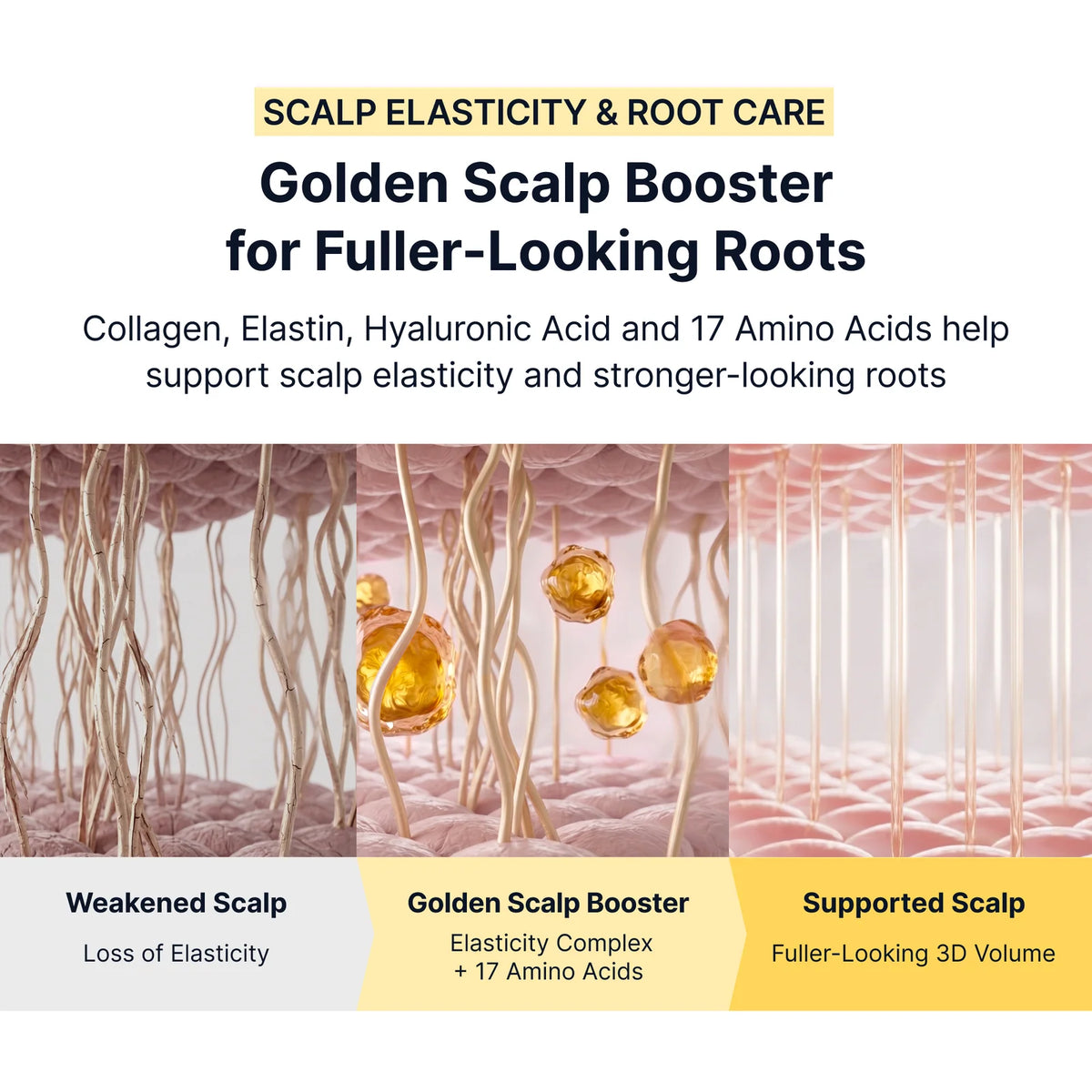 Sungboon Editor Silk Peptide EGF Collagen Scalp Serum 75ml – SoKoSkins