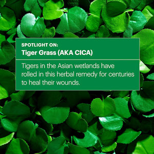 Dr. Jart+ Cicapair™ Tiger Grass Color Correcting Treatment SPF30 50ml