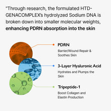 Load image into Gallery viewer, Genabelle Vita Toning PDRN Ampoule