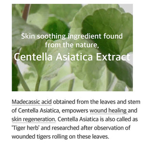Mixsoon Soondy Centella Asiatica Essence 100ml