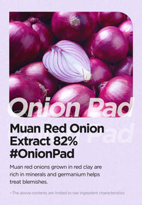 Isntree Onion Newpair Clear Pad 60EA